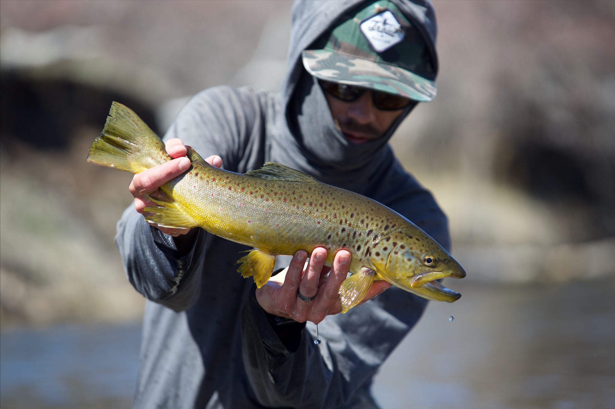 FIELD TEST FRIDAY: TROUT HUNTING W/ TROUT HUNTING